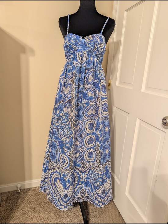 FARM Rio Dresses & Skirts - FARM Rio Blue and White Floral Maxi Dress